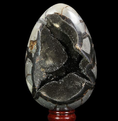 Septarian Dragon Egg Geode - Black Crystals #96726